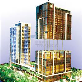 Commercial Model 009